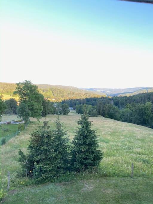 Appartement Lumineux Avec Vue Sur Les Montagnes Morbier Esterno foto