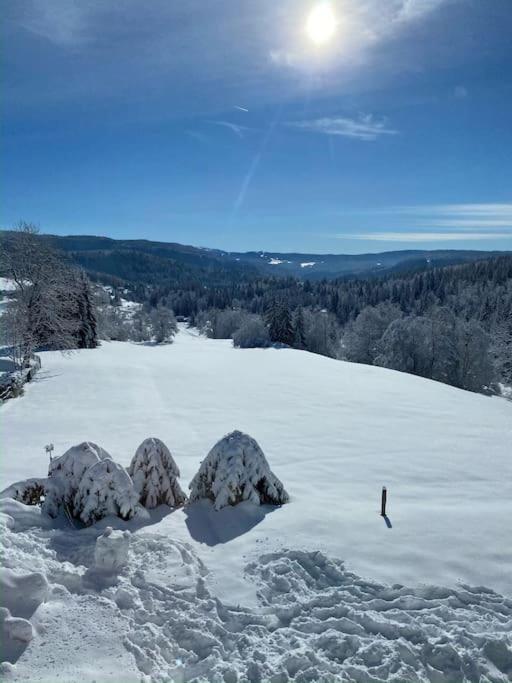 Appartement Lumineux Avec Vue Sur Les Montagnes Morbier Esterno foto