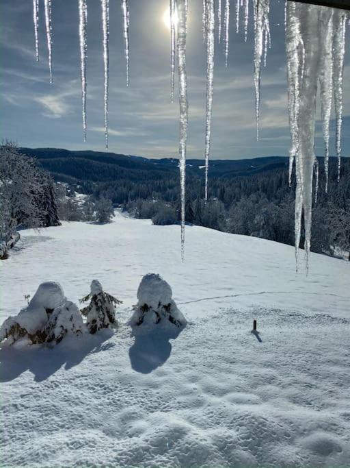 Appartement Lumineux Avec Vue Sur Les Montagnes Morbier Esterno foto